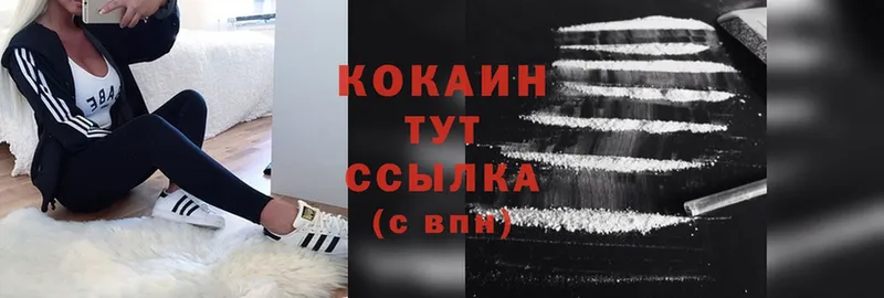 закладки  Губаха  Cocaine FishScale 